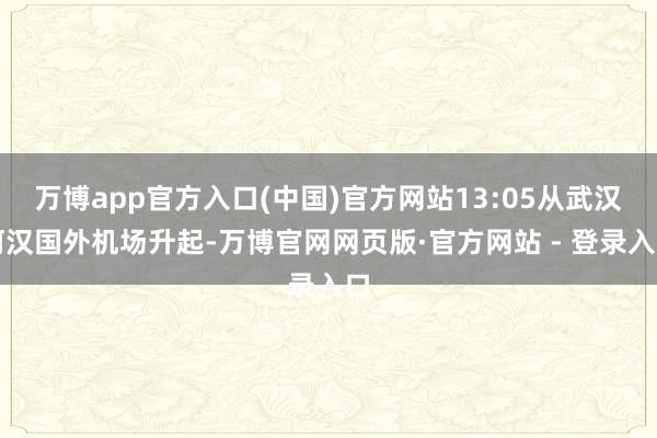 万博app官方入口(中国)官方网站13:05从武汉河汉国外机场升起-万博官网网页版·官方网站 - 登录入口