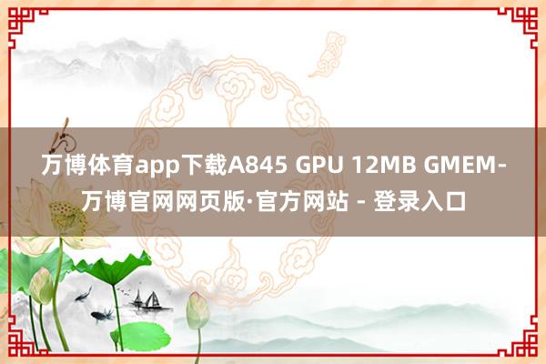 万博体育app下载A845 GPU 12MB GMEM-万博官网网页版·官方网站 - 登录入口